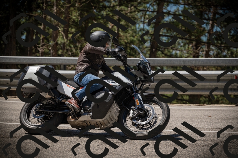 20250531113249-DSC_3780_am_