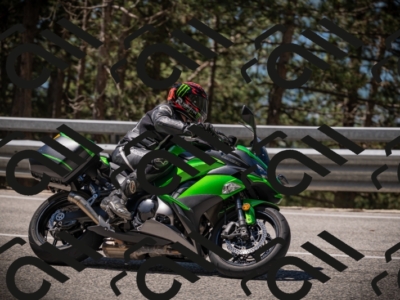 20250531113330-DSC_3783_am_