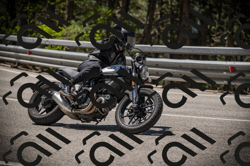 20250531113450-DSC_3802_am_