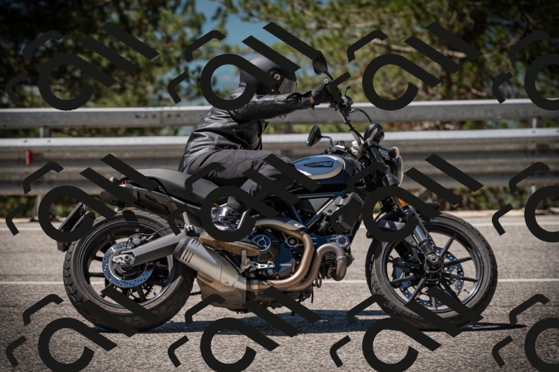 20250531113451-DSC_3803_am_