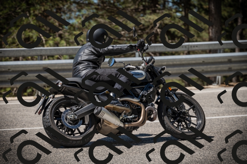 20250531113451-DSC_3804_am_