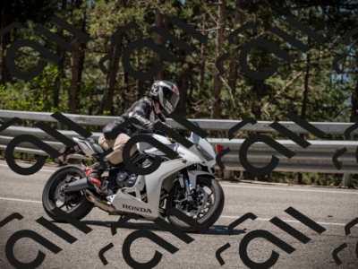 20250531113530-DSC_3809_am_