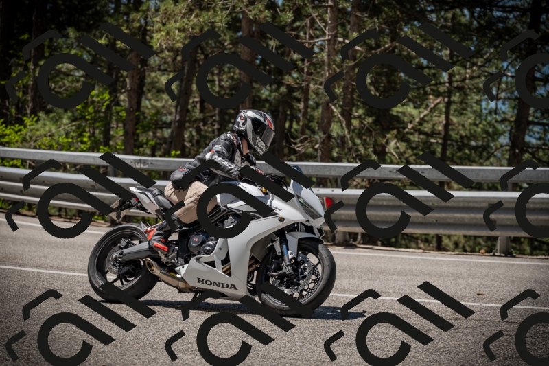 20250531113530-DSC_3809_am_