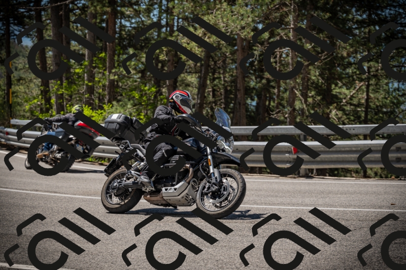 20250531113532-DSC_3814_am_