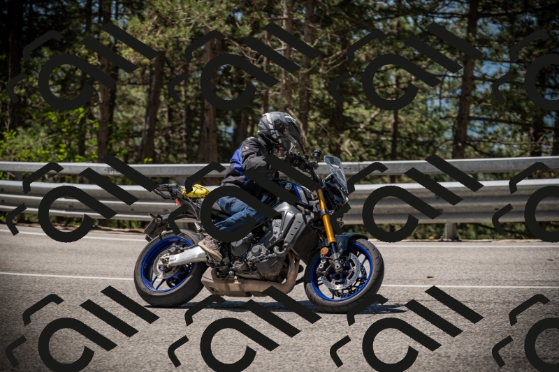 20250531113535-DSC_3818_am_