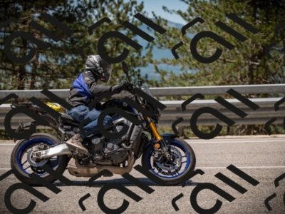 20250531113535-DSC_3819_am_