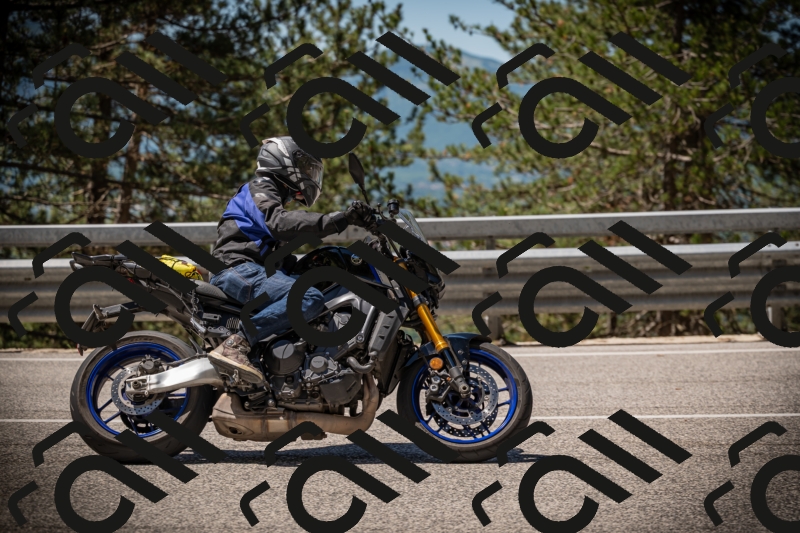 20250531113535-DSC_3819_am_