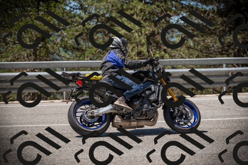 20250531113535-DSC_3820_am_