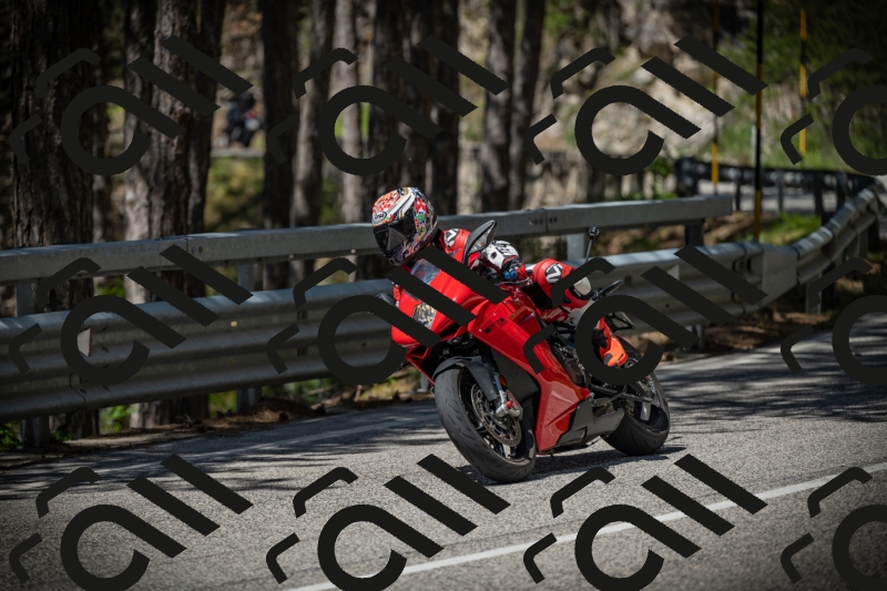 20250531113540-DSC_3821_am_