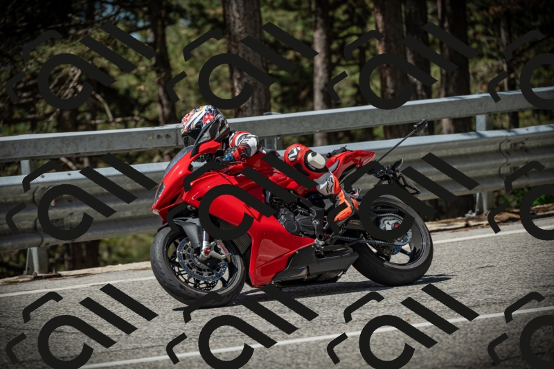 20250531113541-DSC_3822_am_