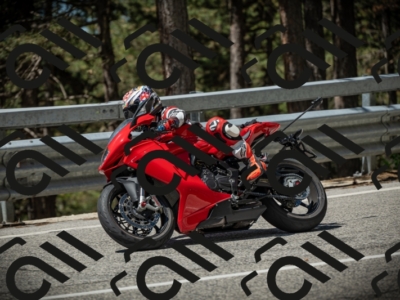 20250531113541-DSC_3822_am_