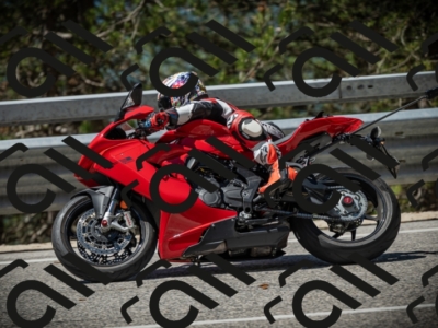 20250531113541-DSC_3823_am_