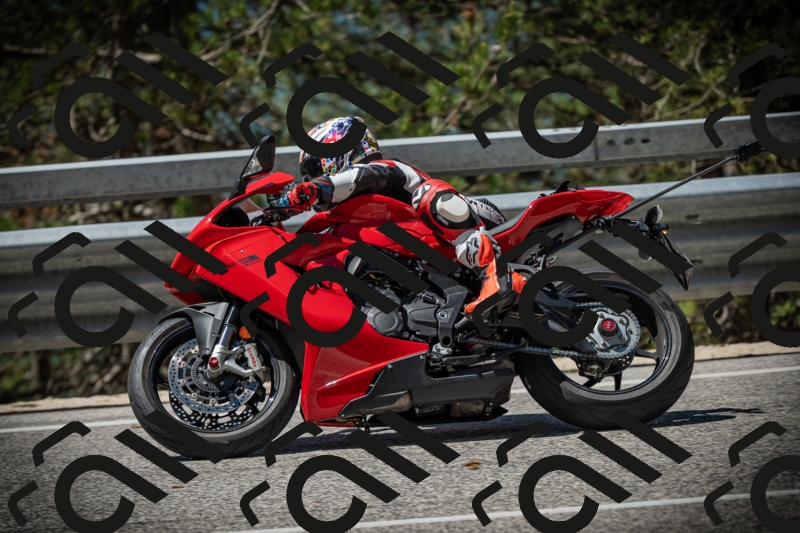 20250531113541-DSC_3823_am_