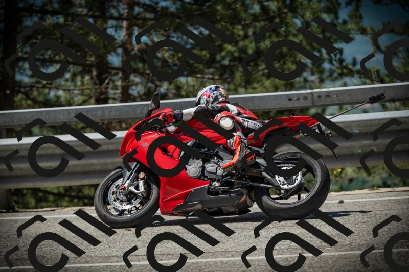 20250531113542-DSC_3824_am_