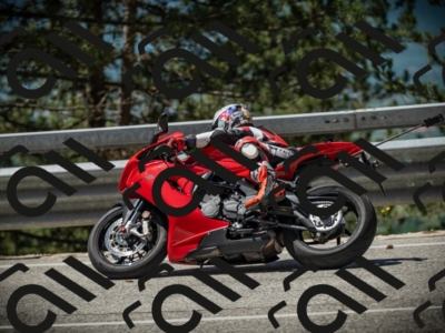 20250531113542-DSC_3824_am_