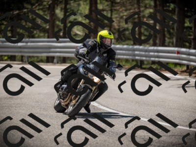 20250531113719-DSC_3831_am_