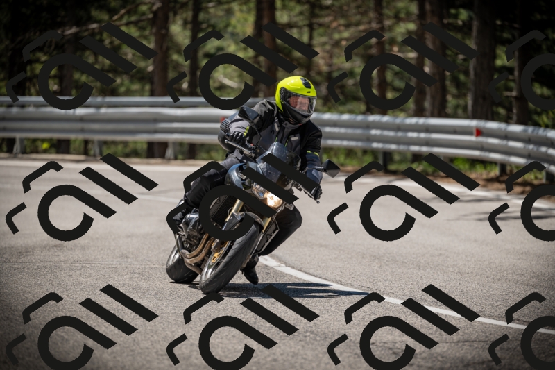 20250531113719-DSC_3831_am_