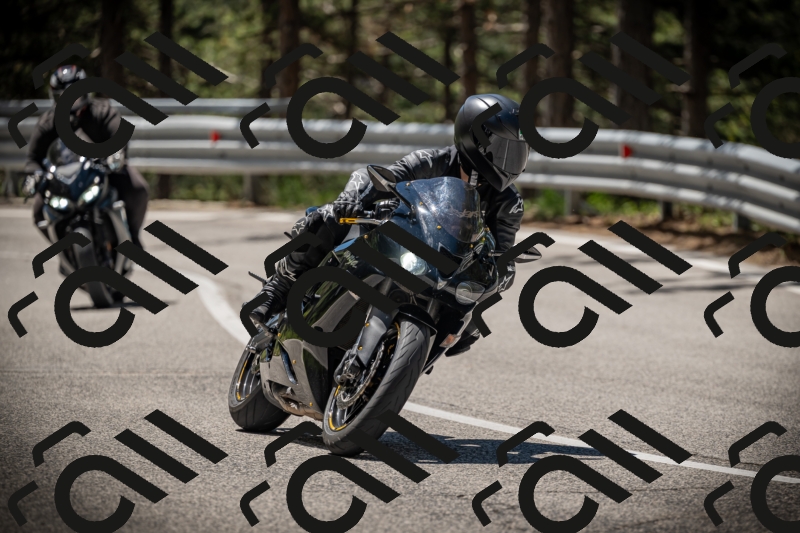 20250531113722-DSC_3835_am_