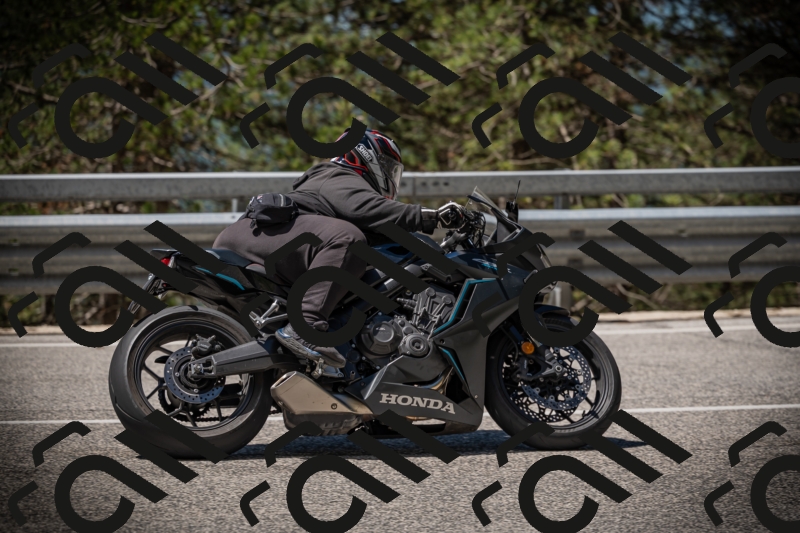 20250531113725-DSC_3839_am_