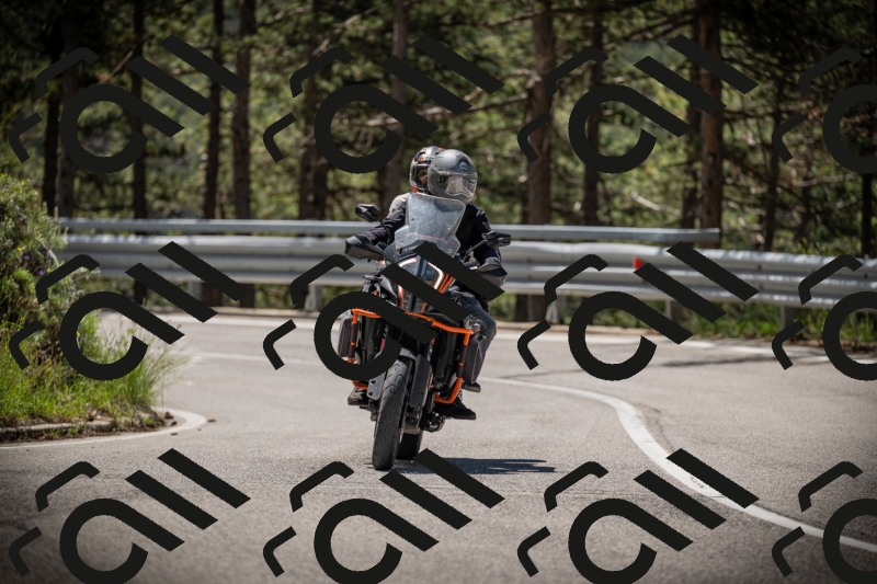 20250531113732-DSC_3845_am_