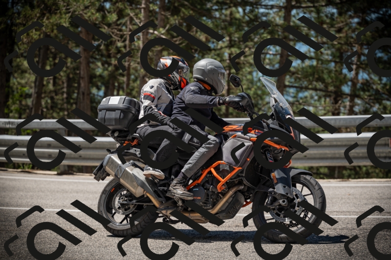 20250531113734-DSC_3847_am_