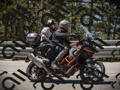 20250531113734-DSC_3847_am_