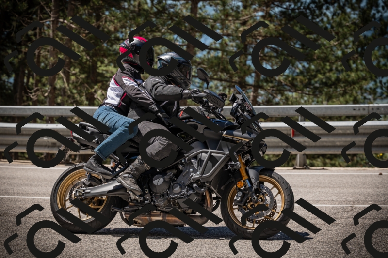 20250531113744-DSC_3853_am_