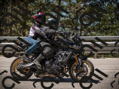 20250531113744-DSC_3853_am_