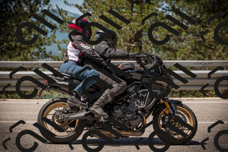 20250531113745-DSC_3854_am_