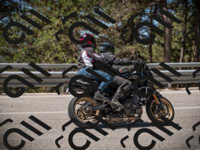 20250531113745-DSC_3855_am_