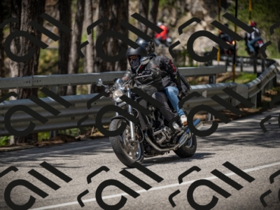 20250531113750-DSC_3856_am_