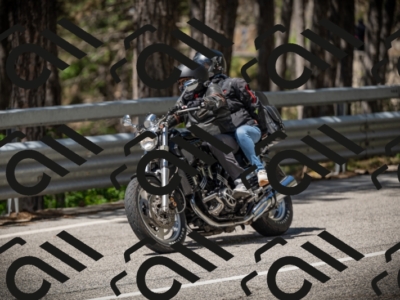 20250531113750-DSC_3857_am_