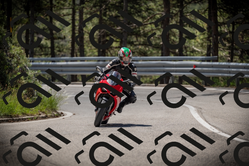 20250531113806-DSC_3865_am_