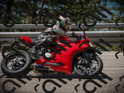 20250531113807-DSC_3868_am_