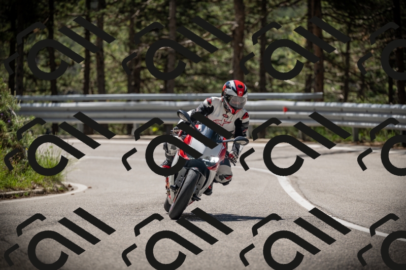 20250531113838-DSC_3869_am_