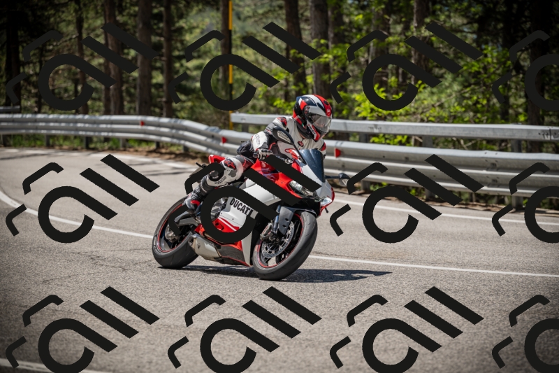 20250531113839-DSC_3870_am_