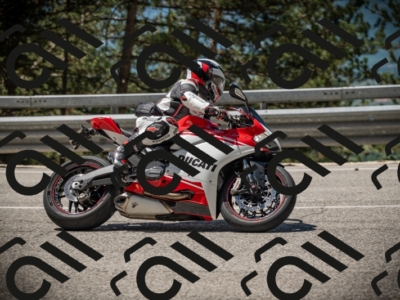 20250531113840-DSC_3871_am_