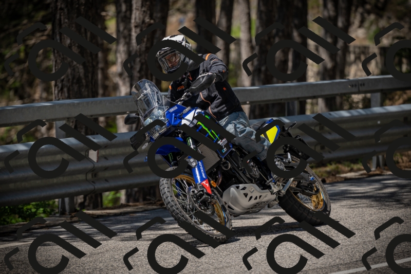 20250531113904-DSC_3874_am_