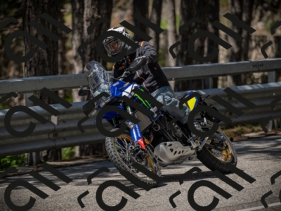 20250531113904-DSC_3874_am_