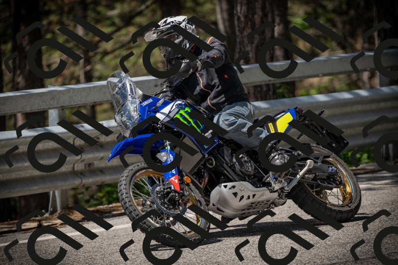 20250531113904-DSC_3875_am_