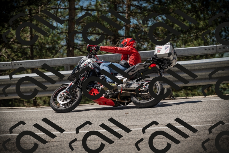 20250531113906-DSC_3878_am_