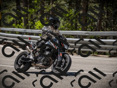 20250531113910-DSC_3883_am_