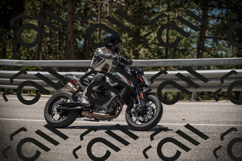 20250531113911-DSC_3884_am_