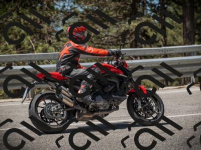 20250531113911-DSC_3886_am_