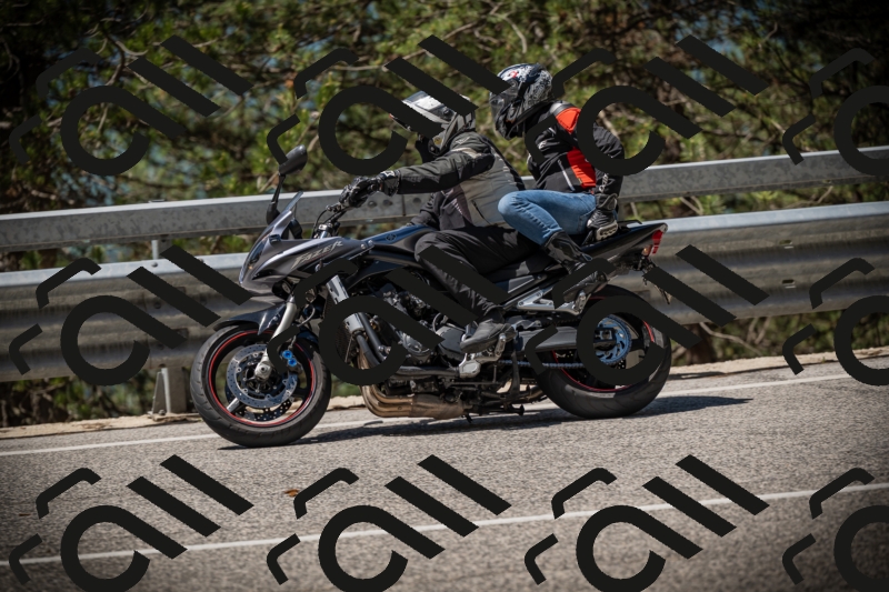 20250531113916-DSC_3888_am_