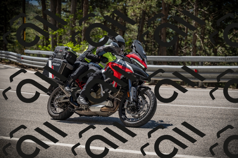 20250531114038-DSC_3913_am_