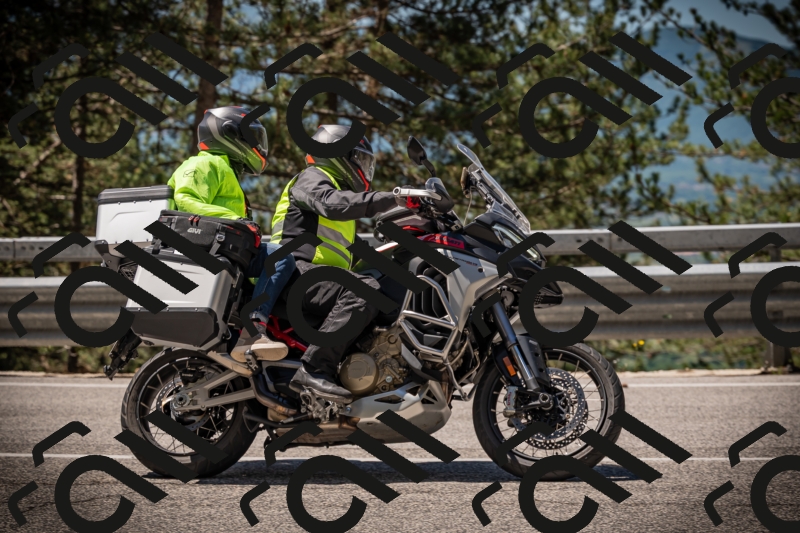 20250531114041-DSC_3917_am_