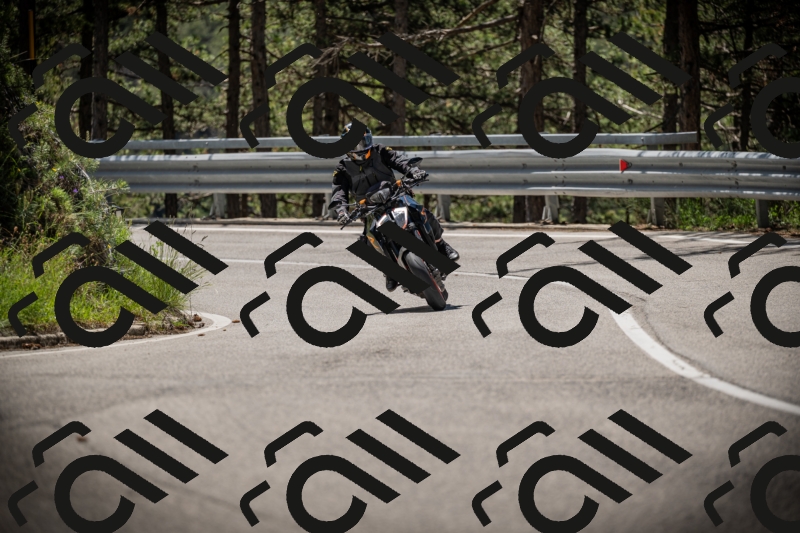 20250531114225-DSC_3929_am_