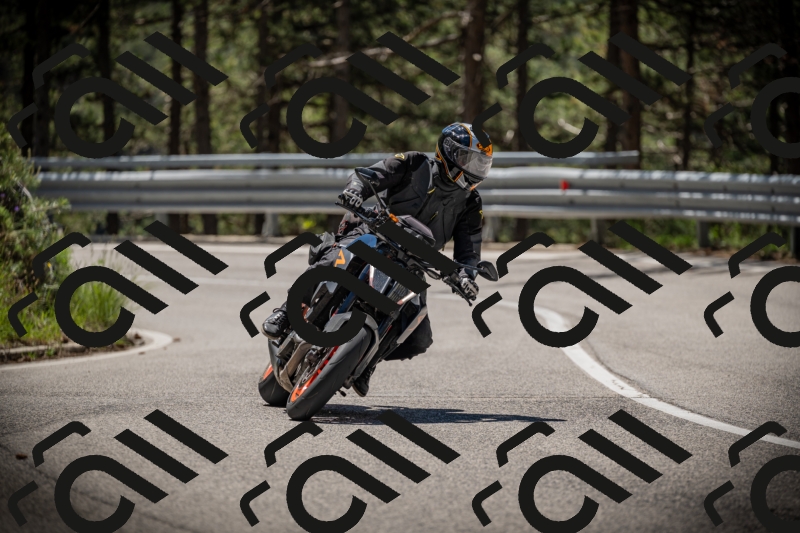 20250531114226-DSC_3930_am_