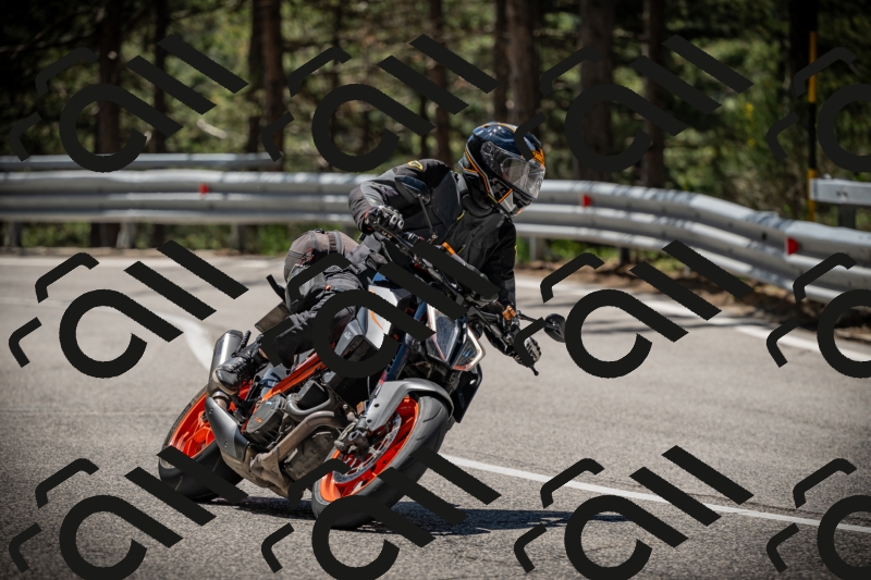 20250531114227-DSC_3931_am_